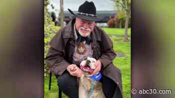 Merced Co. Sheriff offers to pay dog's adoption fees after previous owner loses home