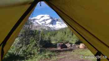 Parks Canada says reservation system appears to be meeting 'high demand' for camping