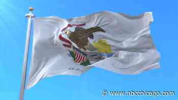 Senate Approves Commission to Explore New Illinois State Flag
