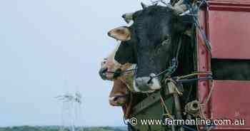 LSD, ASF can now enter via pathways impossible to control