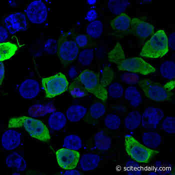 Scientists Have Identified the Genetic Causes of Three Previously Unexplained Rare Diseases