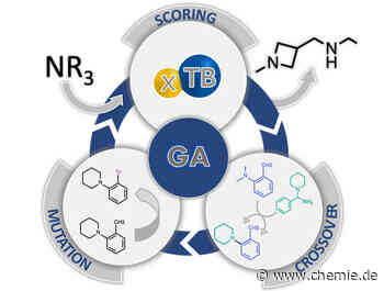 Evolution eines Katalysators
