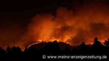 Erster großer Waldbrand des Jahres in Spanien