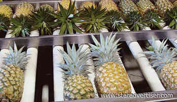 Maui Land & Pineapple earned $1.8M in 2022