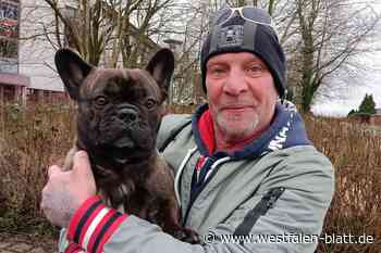 Hüllhorst: Hund und Herrchen finden doch noch zueinander