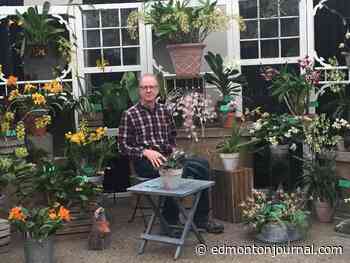 Growing Things: Canada's largest orchid gathering is here