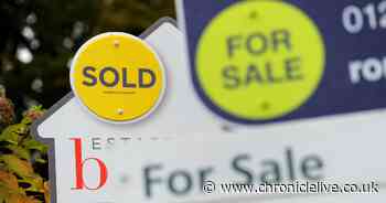 Social media users bamboozled by viral music video advertising house for sale on Rightmove