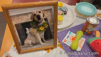 Can Do Canines holds 'puppy shower' for dog mom-to-be