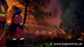Mehr als 1000 Hektar Wald im Osten Spaniens brennen