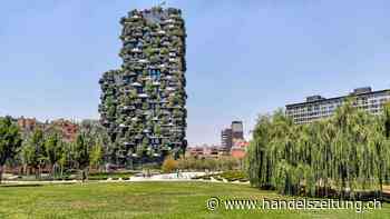 Nachhaltige Sachwerte machen Städte smart