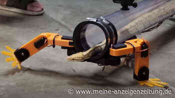 Schlange trägt Roboterhosen und läuft herum wie eine Eidechse