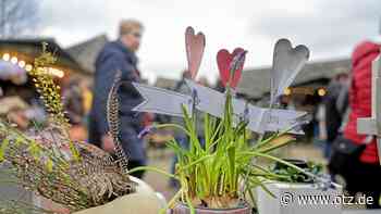 Kettensägenkünstler beehrt Frühlingsmarkt in Frauenprießnitz