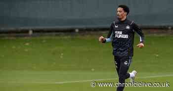 Jamal Lewis reminds Newcastle why they signed him in the first place with strong Northern Ireland display