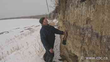 Bison bone found in Prince Albert, Sask., area points to human life there more than 8,000 years ago