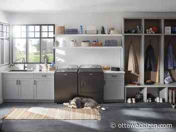 Pet hair makes homes feel ‘messier’