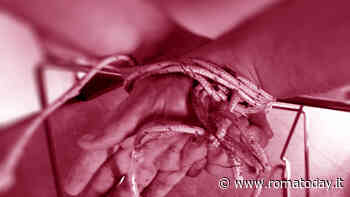 Roma capitale dei sequestri di persona: rapiti e torturati per vendicare gli sgarri legati alla droga