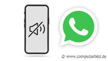 WhatsApp: Neue Funktion hilft gegen nervige Chats