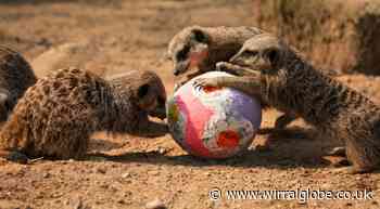 Knowsley Safari Park to host Easter egg hunt