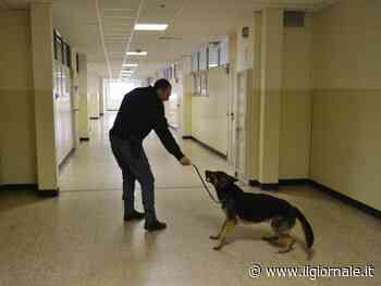 Boom della ketamina, la droga del sabato sera