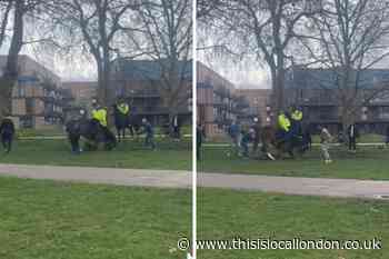 Video shows dog's attack on police horse in east London park