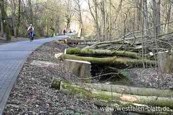 Fahrradstraße von der Innenstadt Paderborns bis Schloß Neuhaus ist bald gesperrt