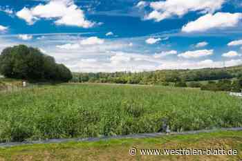 Espelkamper Politiker klagt gegen die Bezirksregierung