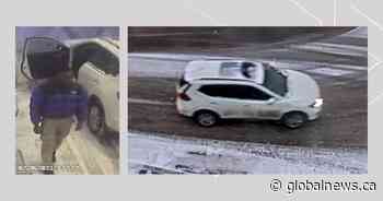 Calgary police release images of person, vehicle of interest in northeast road rage assault