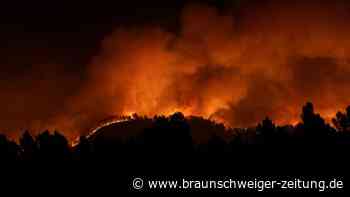 Erster Groß-Waldbrand des Jahres in Spanien