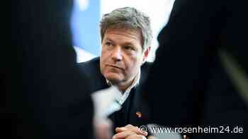 Habeck: Kritische Energieinfrastruktur ohne China-Technik