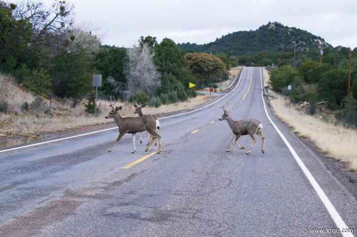 New Mexico governor signs bill to fund 'wildlife corridors'