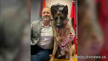 Niagara Falls names dog honorary mayor
