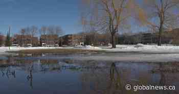 Artificial turf: Finding balance between ecology and vulnerable groups’ needs in Quebec