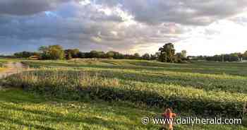 Time's up: Carpentersville says no Binnie Road plans