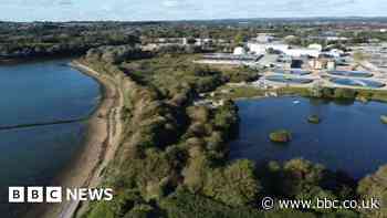 Langstone Harbour: Council to test water near wastewater pipes