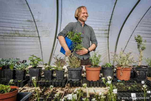 Op ontdekking tussen de unieke kruiden van ’t Coolhof: plant met oestersmaak en negen andere lekkere smaken die je niet verwacht