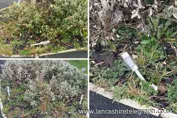 Neighbour’s garden ornaments damaged in alleged ‘revenge attack’