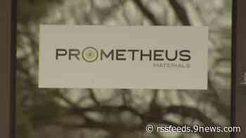 Your next driveway could be made out of algae