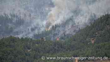 Groß-Waldbrand in Spanien zerstört über 4000 Hektar