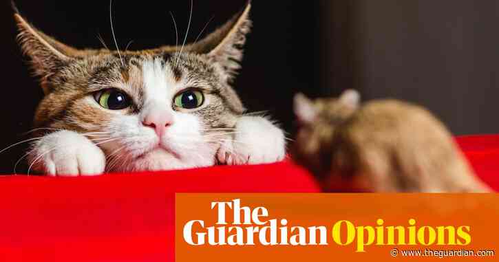 Is there a serial killer in your home? Or is your cat just an extrovert? | Celia Haddon