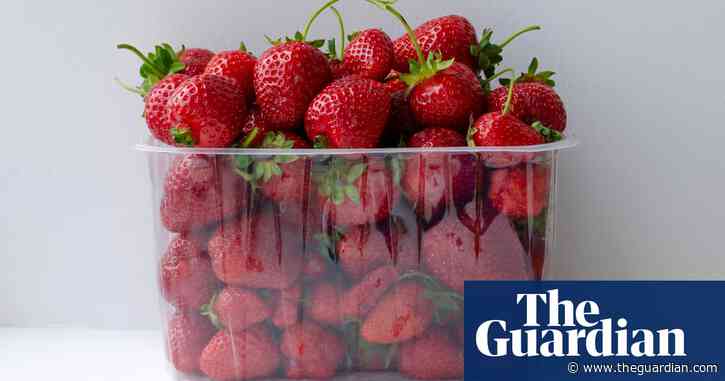 Strawberries instead of bin liners: poll reveals strange supermarket delivery substitutions
