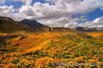 President Joe Biden designates Castner Range in El Paso as national monument