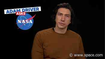 '65' star Adam Driver asks NASA about the asteroid threat to Earth (video)