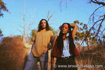 Tour news: LANNDS, John Cooper Clarke, Bush Tetras, Ava Mendoza, Jack Cooper, more