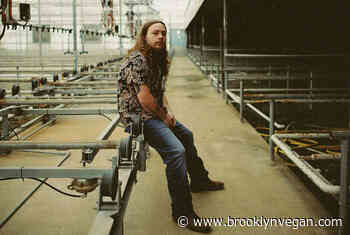 Country singer Logan Halstead preps debut LP 'Dark Black Coal' (watch the "Coal River" video)