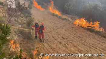 Spanien kämpft mit erstem großen Waldbrand des Jahres