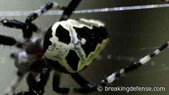 Pentagon seeks to jumpstart ‘nascent’ biomanufacturing industry with new strategy