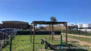 L'area cani di Parco Leonardo si rifà il look