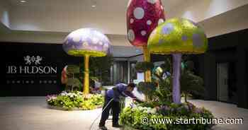 Galleria's Floral Experience flower show brings 'World of Wonder' to Edina