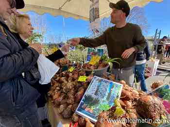 Comment entretenir ses plantes malgré la sécheresse?
