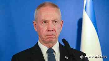 Israeli defence minister calls on government to halt judicial reforms